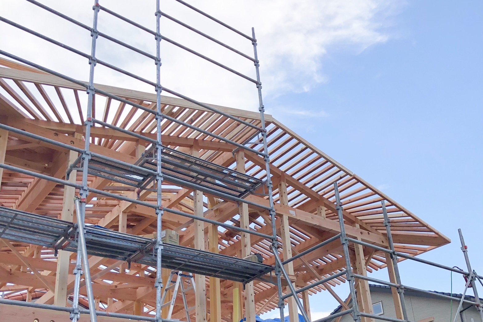 丹精込めて、美しく